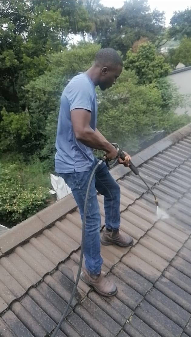 Roof Cleaning